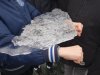 1_iceberg