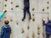 IMG_20240402_140329