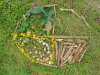 3-simon_alexandrine
